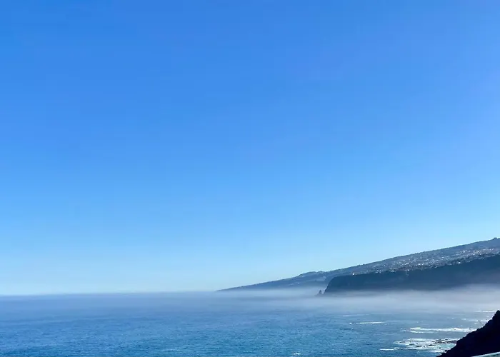 Oasis La Paz - Pelinor - Adults Only *